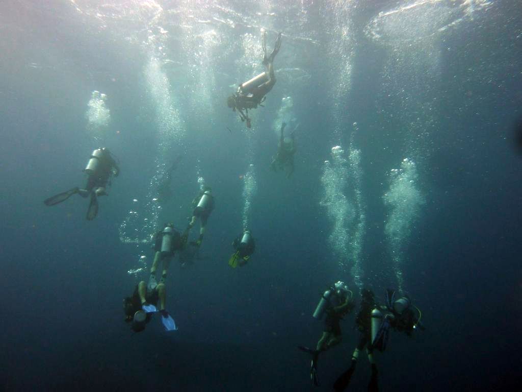 Plongeurs de la section subaquatique du club prêts à s'immerger